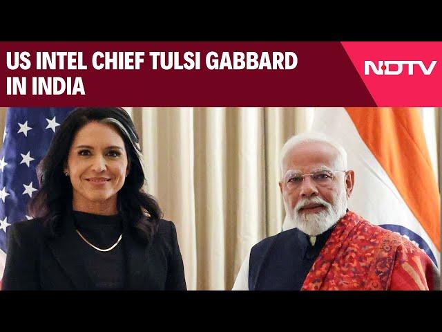 Tulsi Gabbard In India | US Intel Chief Tulsi Gabbard In India, 1st Visit Of Trump's Key Aide