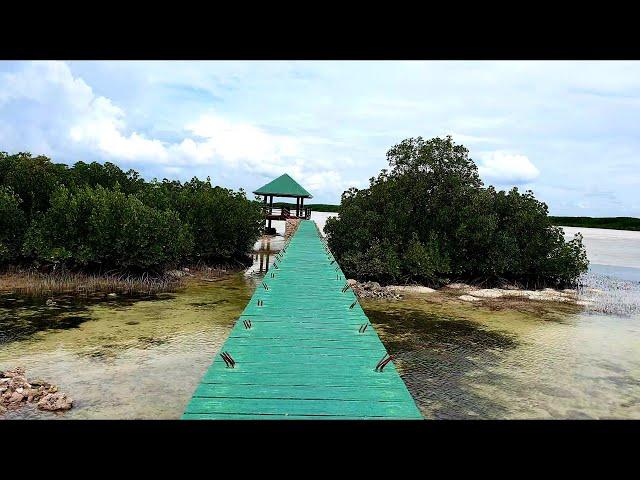 Olango Island Wildlife Sanctuary | Discover Olango | Philippines