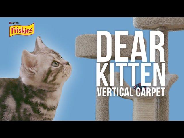 Dear Kitten: The Vertical Carpet