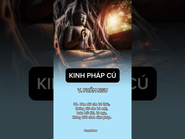 Kinh Pháp Cú - Phẩm Ngu - Lời dạy 60 #phatphap #phatphapnhiemmau #ngotuhau #kinhphapcu