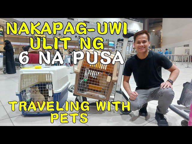 TRAVELING WITH PETS FROM MIDDLE EAST TO PHILIPPINES | PAANO IUWI ANG ALAGANG PUSA GALING ABROAD