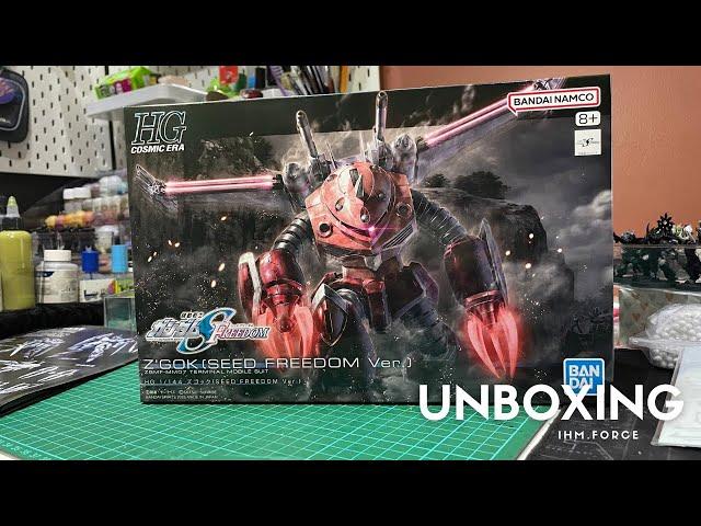 Unboxing HG Z'gok (Seed Freedom Ver)