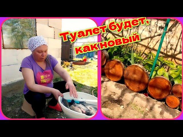 Переезд из Сибири на Юг/ремонт древнего туалета /огромную черешню/про свежих карасей