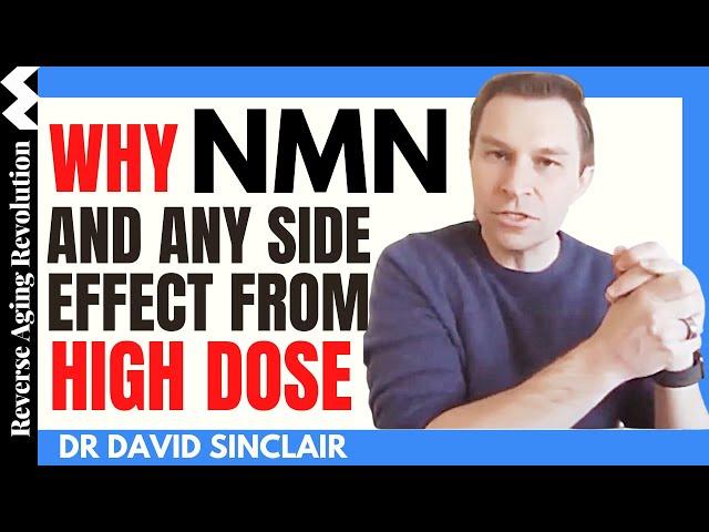 Why NMN & Any side effects from HIGH DOSE | Dr David Sinclair Interview Clips