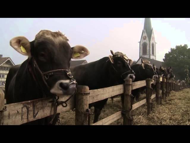 Firmenausflug, Vereinsreisen und Gruppenreisen im Appenzellerland