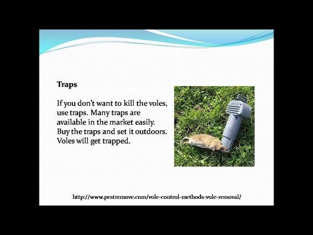 Vole control methods for vole removal