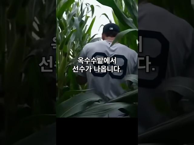 미국에서 대박난 ‘꿈의구장’ MLB현실판