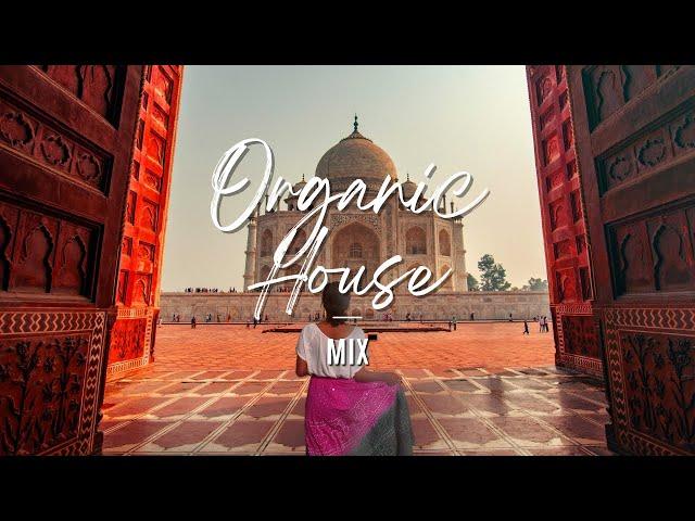 Indian vibes | Organic House mix