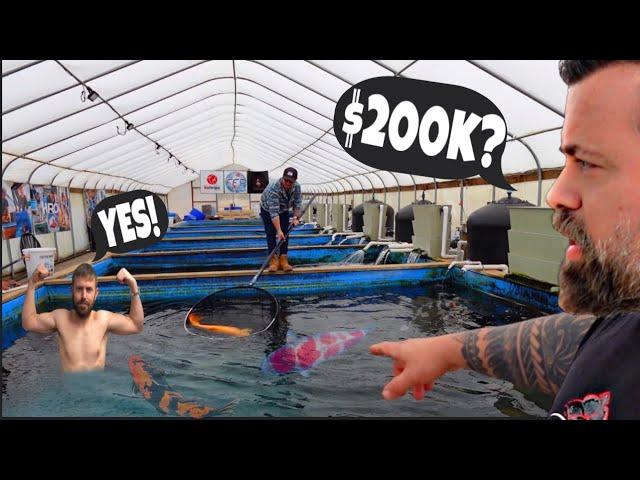 $200.000 CHAMPION KOI!!! VISITING THE LARGEST KOI FISH FARM IN USA