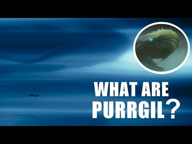 What are the Space Whales that Grogu Sees in Hyperspace? - Everything We Know About Purrgil