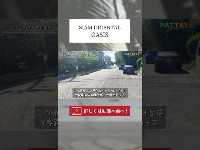 【パタヤ】モデルルーム解禁！緑豊かな環境でペットと暮らせるコンドミニアム【Siam Oriental Oasis】#パタヤ #コンドミニア #海外移住 #shorts