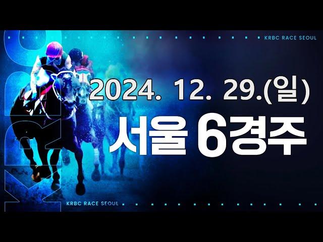 (서울) 2024.12.29 6경주