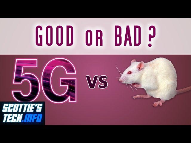 Not your typical 5G study...