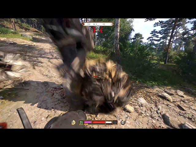 The weirdest encounter in Kingdom Come Deliverance 2