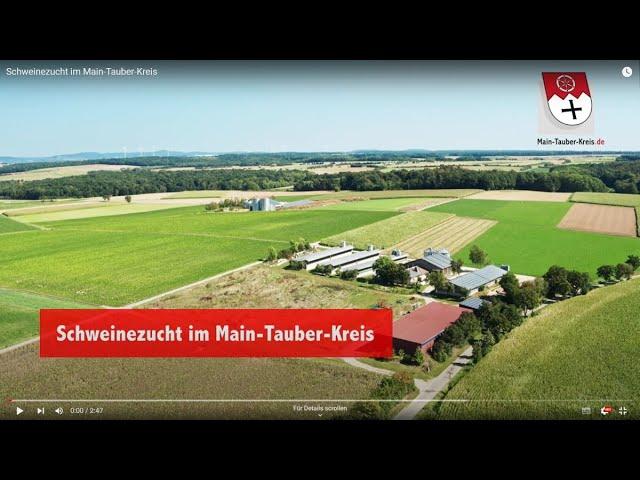 Schweinezucht im Main-Tauber-Kreis