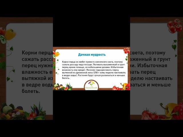 ДАЧНАЯ МУДРОСТЬ