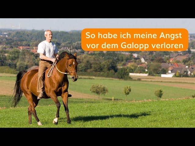 Angst vorm Galopp? Dieser eine Tipp öffnete mir die Augen