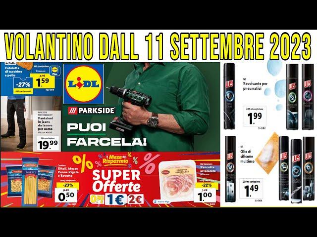 Volantino Lidl 11 Settembre Settimana Francese, Linea W5 Per Auto, Utensili Parkside Schwarzenegger