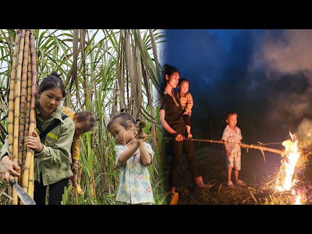 Single mother - Helping lost children find relatives/Harvesting sugarcane/Gardening | La Thi Lan