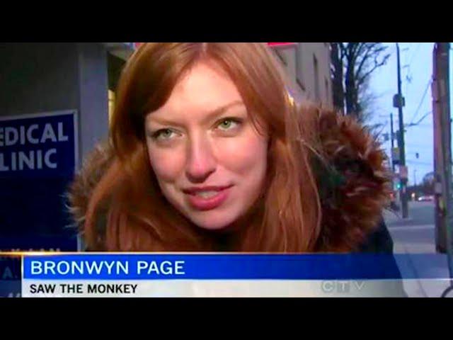 Best News Bloopers February 2023