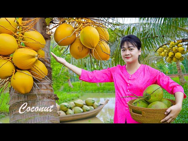 AMAZING HARVESTING COCONUTS & Goes To Market Sell, Gardening And Cooking||LÝ TRIỆU CA