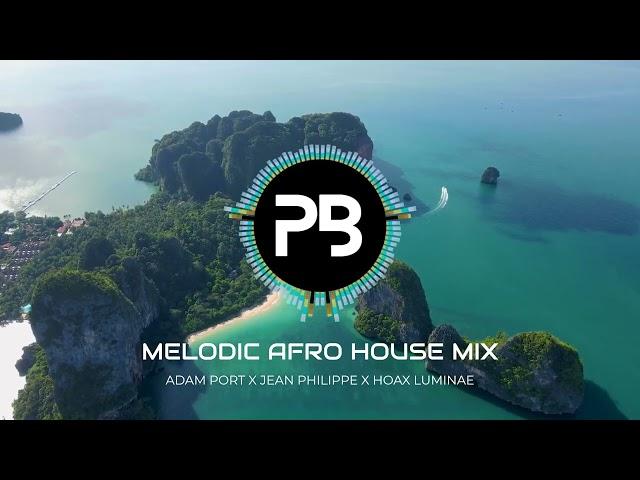 Melodic Afro House Mix 2024