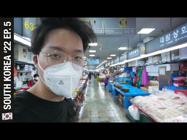 BIGGEST Seafood Market In Korea  (Gamcheon Culture Village, Jagalchi Market)