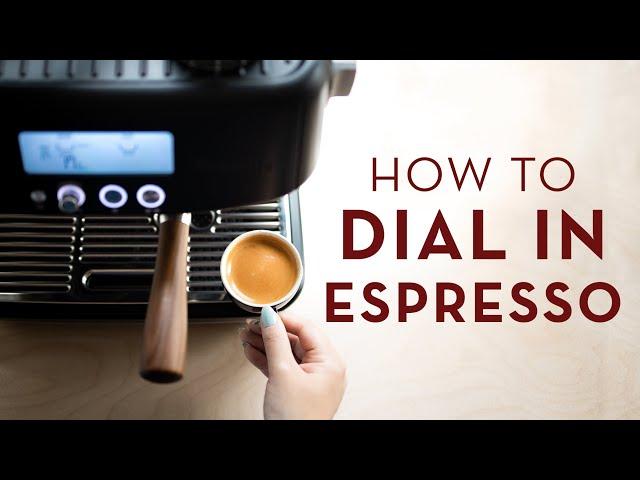 How to Dial In an Espresso Shot: Everything A Beginner Needs to Know