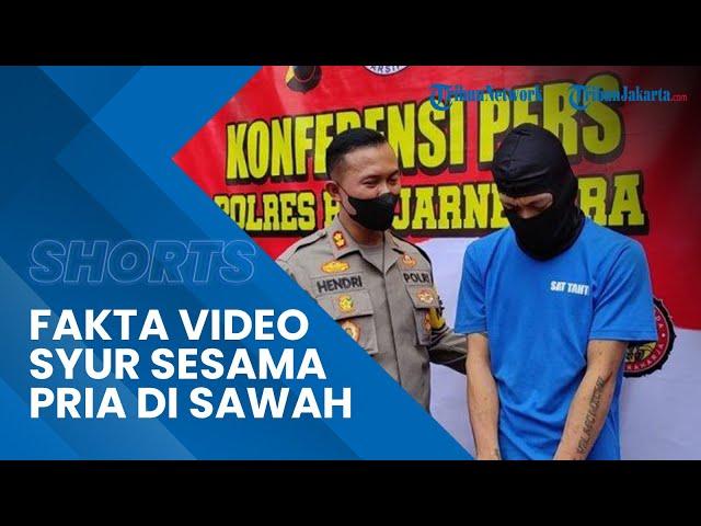 Fakta Video Mesum Pasangan Sejenis di Area Persawahan Banjarnegara, Sengaja untuk Diperdagangkan