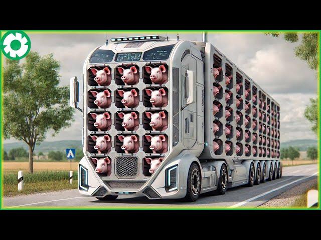 Transporting Thousands of Pigs This Way - Biggest Heavy Equipment Machines | Agriculture Technology