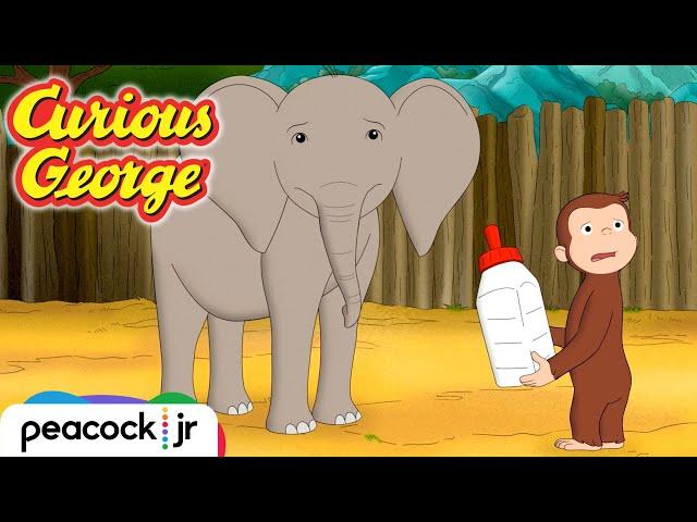  Befriending a Baby Elephant | CURIOUS GEORGE