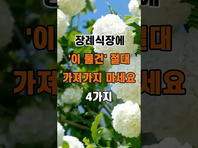 '장례식장에 이 물건 절대 가져가지 마세요 4가지'  #명언 #좋은글 #건강 #지혜 #인생조언 #50代  #60代  #70代