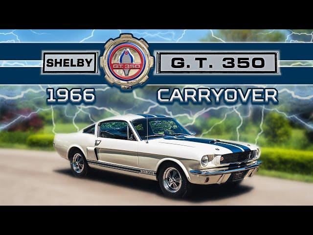 Fully Restored 1966 Shelby GT350 Carryover - The Ultimate Rarity!