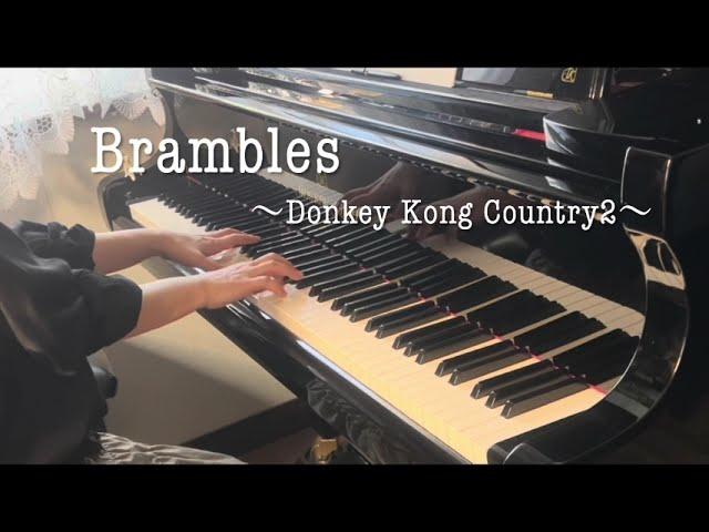 (piano) Brambles／Donkey Kong Country2  ドンキーコング２