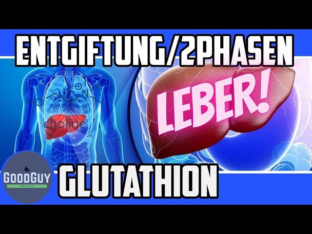 Glutathion für deine Entgiftung!Methionin und Cholin für die Leber-Toxine eff. natürlich ausleiten!