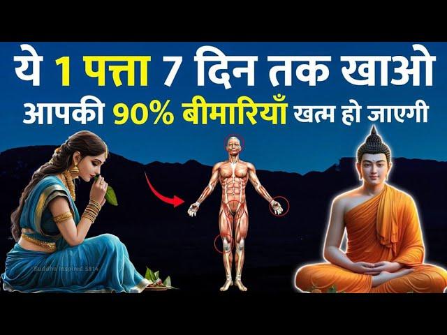 ये 1 पत्ता आपकी 90% बीमारियाँ ठीक करेगा | Buddhist Story To Betel Leaves Benefits