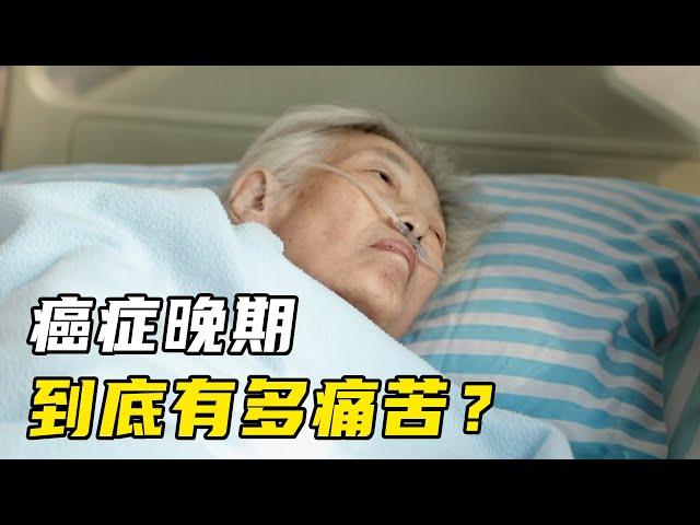 真实记录癌症患者死亡过程，她用3个月时间，看透生死