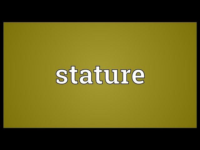 Stature Meaning