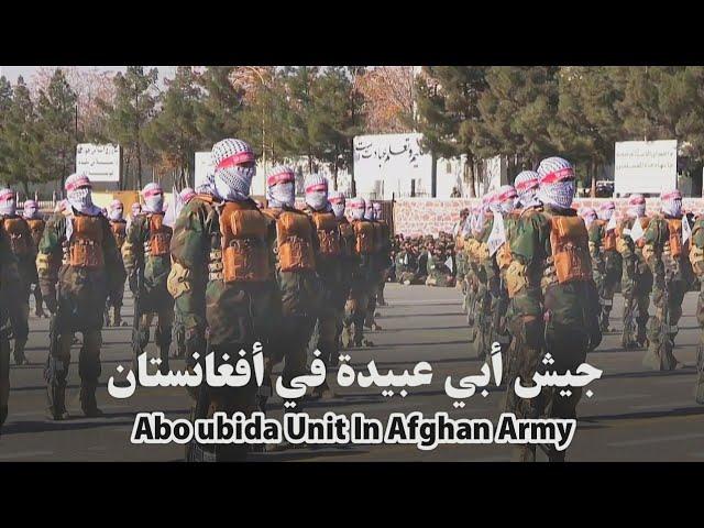 Abo ubida Unit In Afghan Army | قطعه ابوعبیده در ارتش افغانستان #taliban #afghanarmy #khurasan