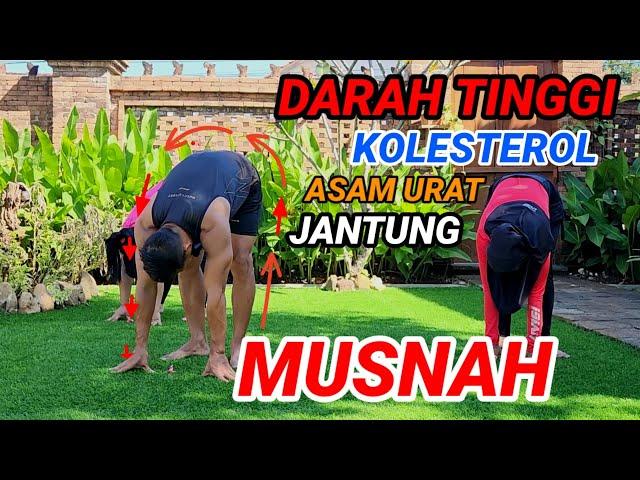 SENAM MENURUNKAN TEKANAN DARAH TINGGI - KOLESTEROL - ASAM URAT - JANTUNG DAN DARAH TIDAK LANCAR