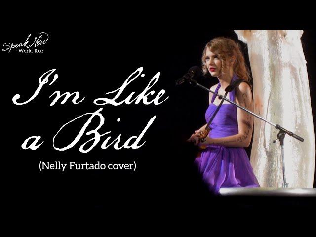 Taylor Swift - I'm Like a Bird (Cover) (Live on the Speak Now World Tour)