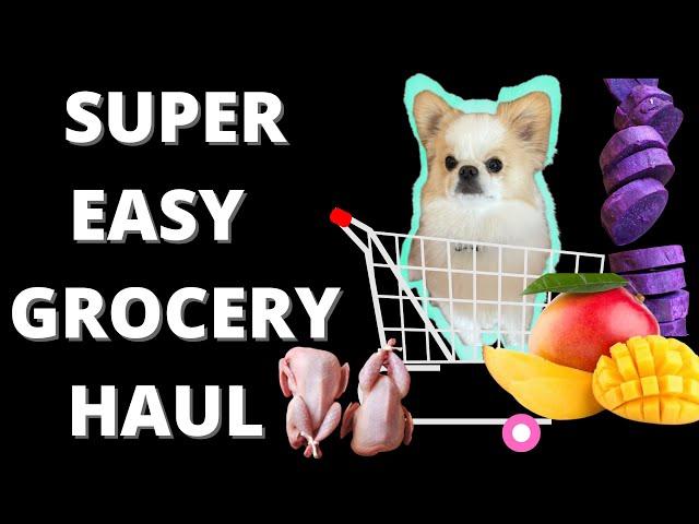 GROCERY HAUL + MEAL PREP RAW DOG FOOD FOR MY SMALL DOGS | RAW FOOD DIET | ROTATIONAL MONO FEEDING