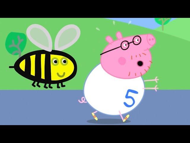 Peppa Wutz | Zusammenstellung von Folgen | Peppa Pig Deutsch Neue Folgen | Cartoons für Kinder