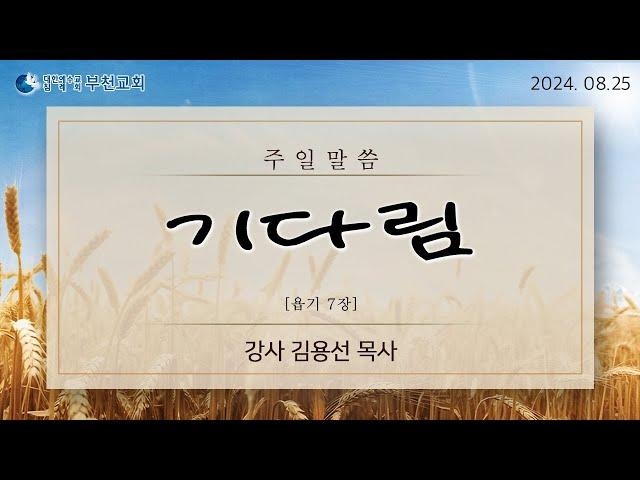 주일말씀/기다림/김용선목사/생명의말씀선교회(부천교회)/24.08.25