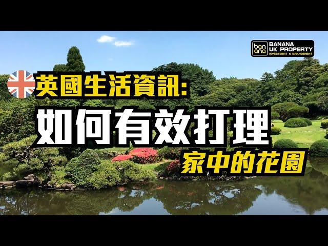 【英國生活資訊】如何有效打理家中的花