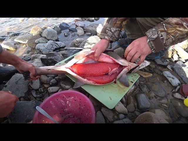 КРАСНАЯ ИКРА,  рыбалка на Дальнем Востоке на горной реке