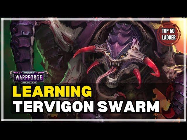 Learning Tervigon - Double Deck Guide & Top 50 ladder Gameplay