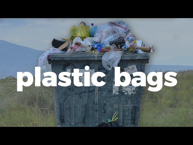 Here's how plastic bags impact the environment