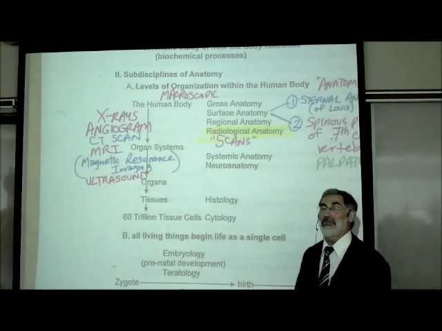 INTRO TO HUMAN ANATOMY by PROFESSOR FINK