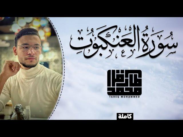 تلاوة من سكون الليل || سورة العنكبوت (كاملة) || طارق محمد
